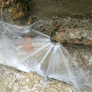 熊口镇消防管道漏水检测